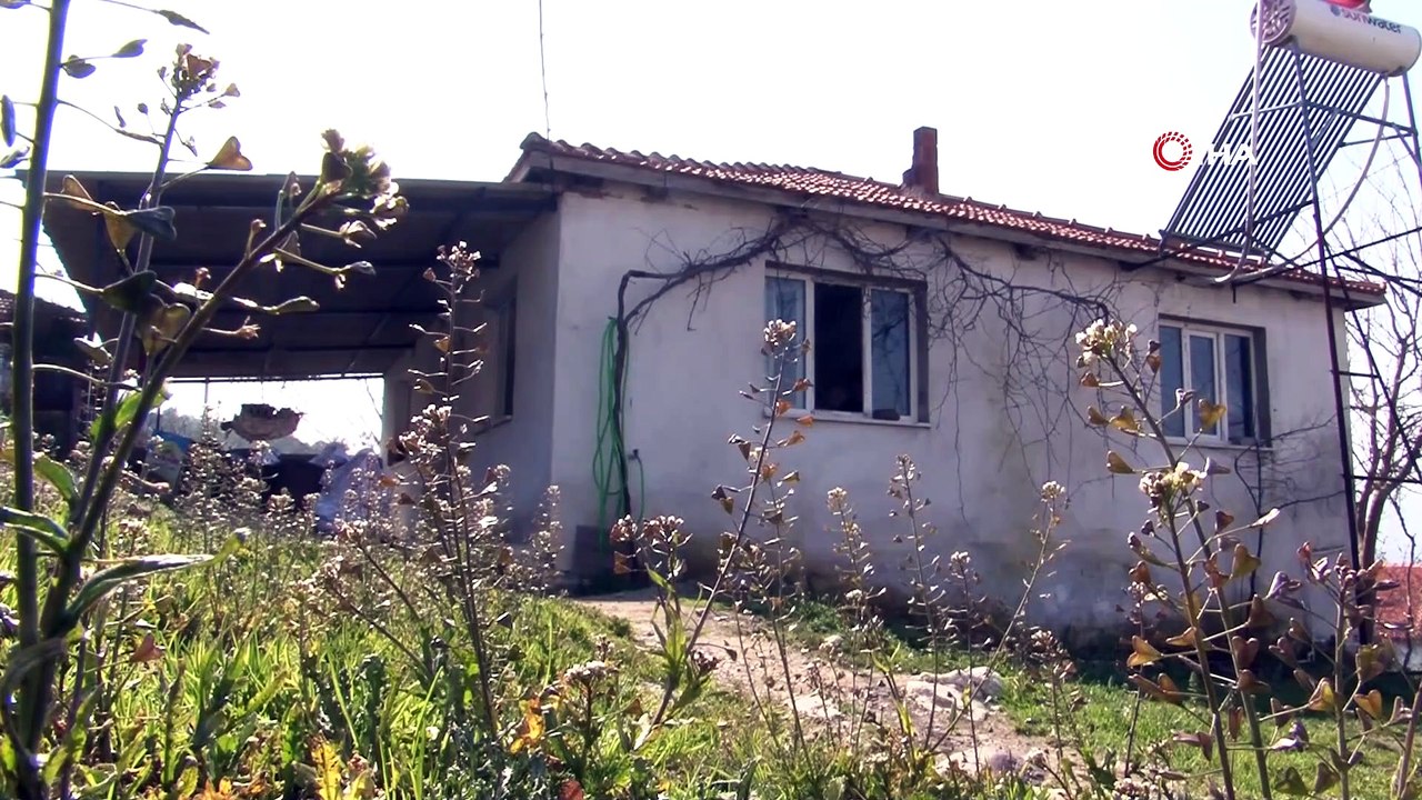 Orada bir öğretmen var uzakta