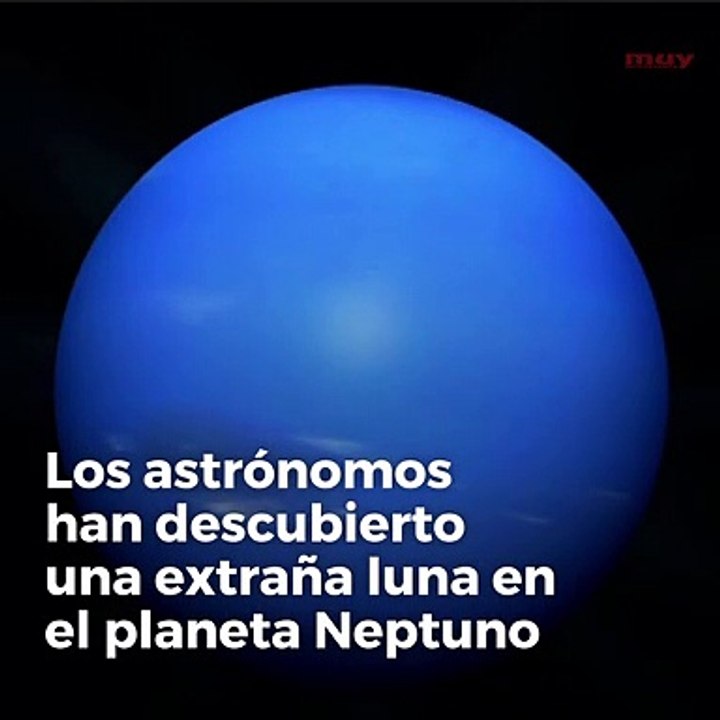 Hipocampo - Neptuno
