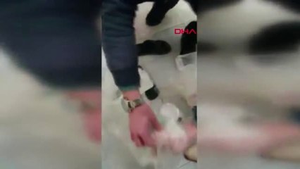 İstanbul- Kartal'da Uyuşturucu Operasyonu 2 Kişi Gözaltına Alındı