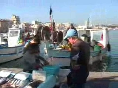 Marseille Vieux Port Marche-aux-poissons