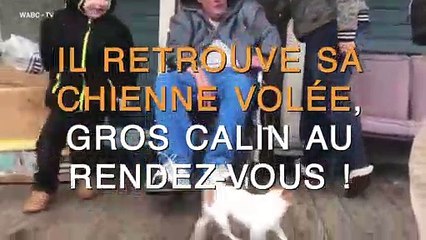 Il retrouve sa chienne volée, les retrouvailles sont au rendez-vous !