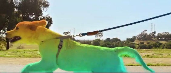 제주출장샵[Ø1Ø↔27Ø3↔7745]『카톡↔VVV75』【만족도1위!】제주콜걸 제주출장안마 제주안마코스 제주출장마사지-황제 제주출장샵=제주콜걸