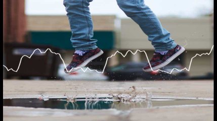 Minute Papillon! Flash info soir - 20 février 2019