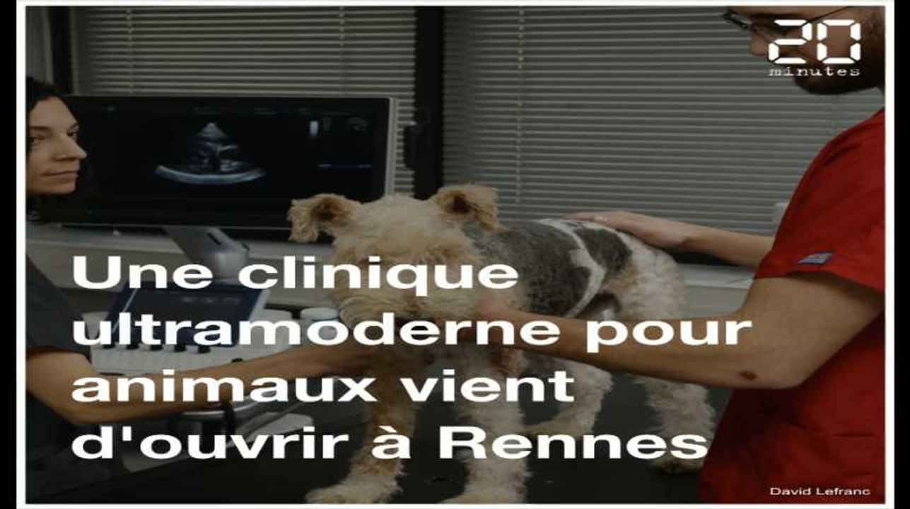 Une clinique ultramoderne pour animaux vient d'ouvrir près de Rennes
