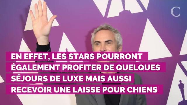 Oscars 2019 : ces cadeaux à base de cannabis que les nommés vont recevoir