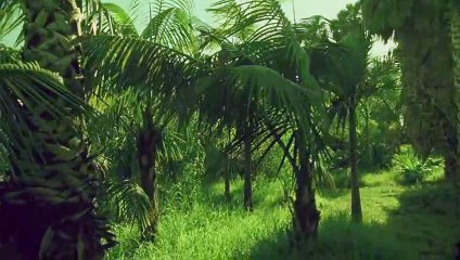 영도출장안마 {Ø1Øx2703x7745}【카톡VVV75】영도출장샵'예약'영도출장마사지 영도여대생출장 영도여고생출장 영도콜걸샵