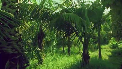 연수출장안마 {Ø1Øx2703x7745}【카톡VVV75】연수출장샵'예약'연수출장마사지 연수여대생출장 연수여고생출장 연수콜걸샵