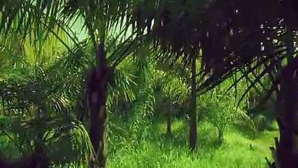 옹진출장안마 {Ø1Øx2703x7745}【카톡VVV75】옹진출장샵'예약'옹진출장마사지 옹진여대생출장 옹진여고생출장 옹진콜걸샵