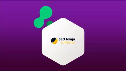 Free Domain Age Checker - SEONinjaSoftwares