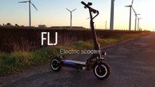 FLJ T113 electric scooter - super ultron - ultra ultron v2