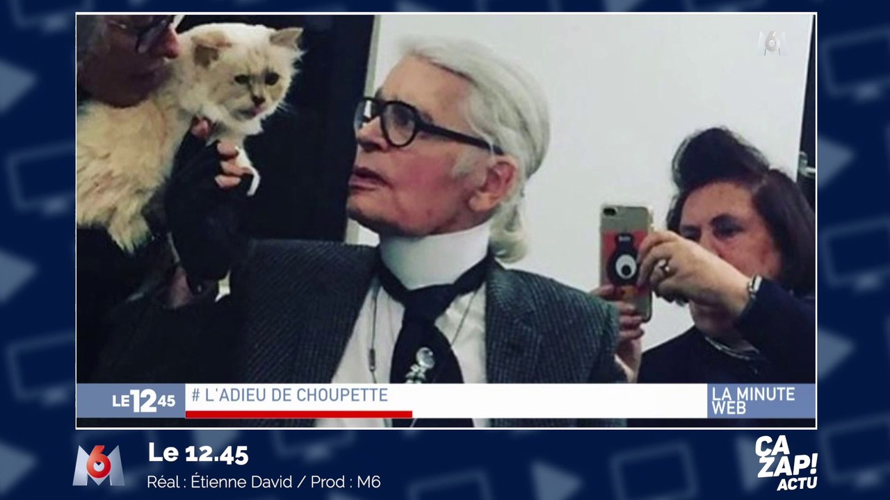 Choupette va-t-elle hériter de la fortune de Karl Lagerfeld ?