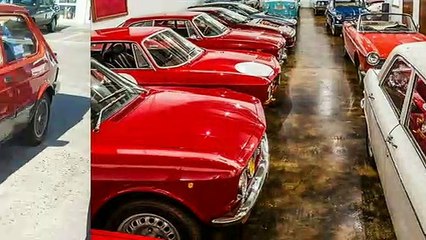 IAVA - Fiat dealers