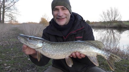 Jacks & Monkeys - Predator Fishing The Warwickshire Avon - 18/2/19 (Video 106)