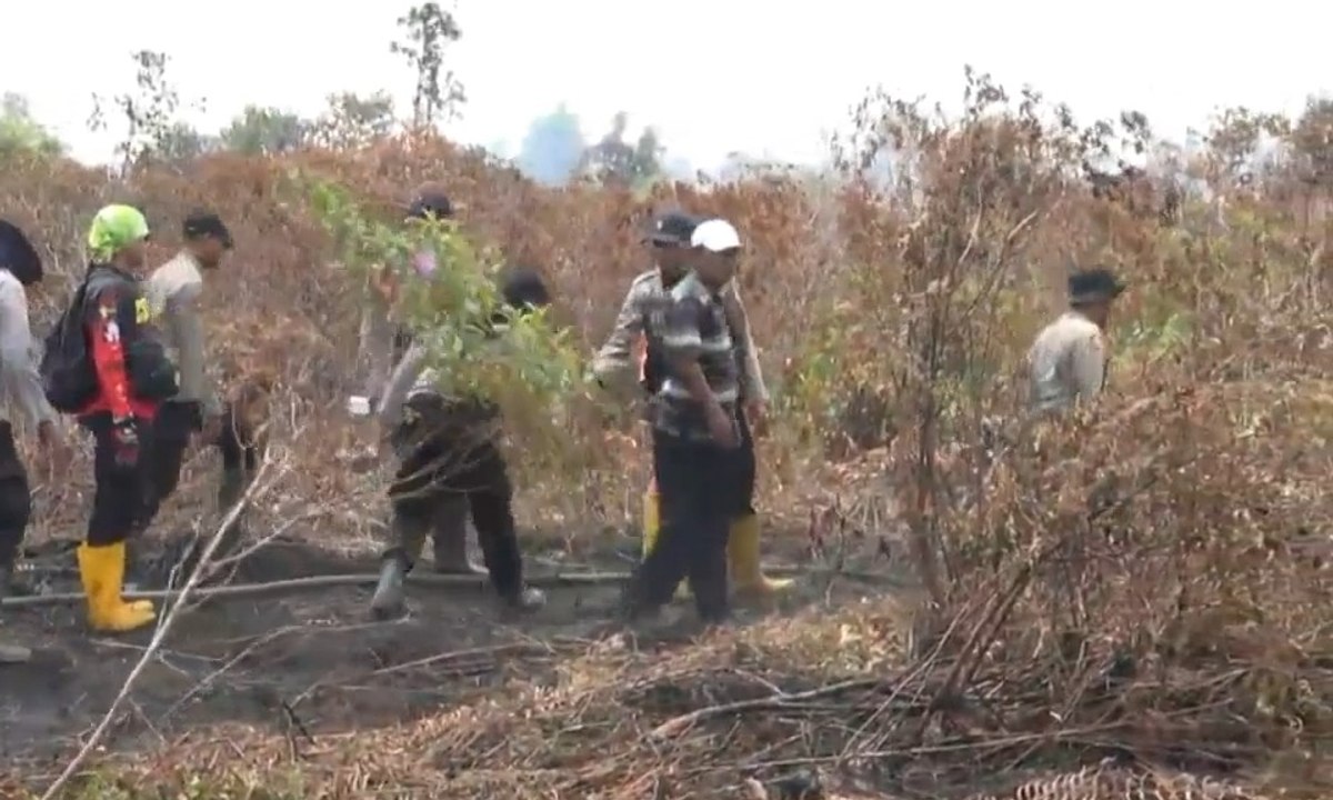 Pemadaman Kebakaran Lahan di Riau Terus Berlangsung