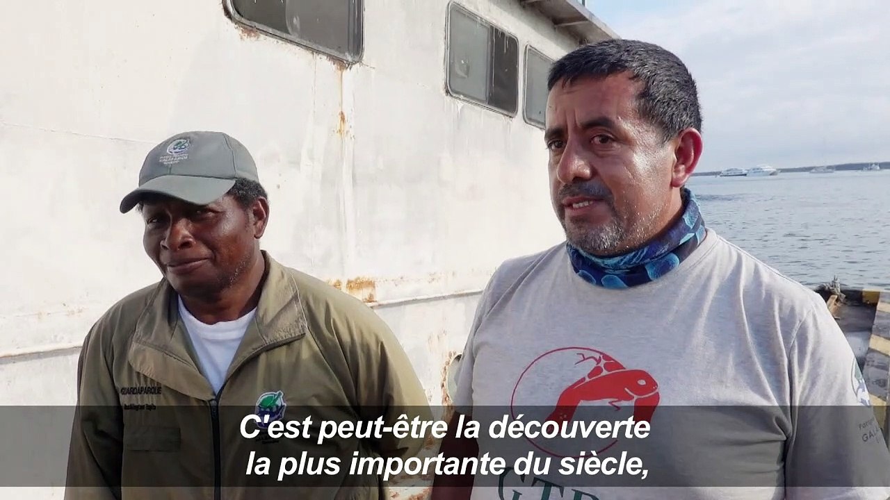 Galapagos: une tortue géante que l'on pensait éteinte découverte