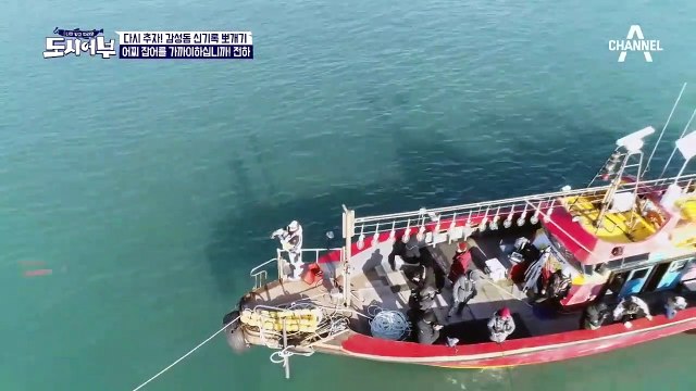 잡어 전문 즈은하 이태곤! 돔은 어디가고 멸치 & 전갱이 잡이 JAM♡