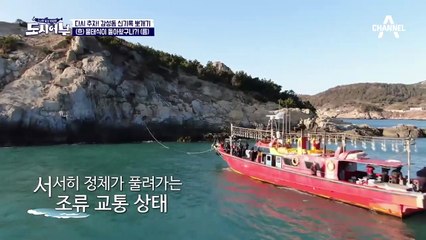 왕족 킹태곤의 1타 쁘띠 감성돔♡ (민망쓰) 감생이 한 방에 영웅 등극!