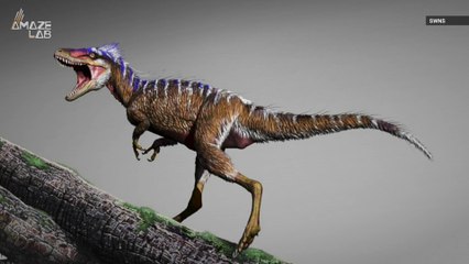 Scientists Discover A Tiny T. Rex Relative Dubbed the 'Harbinger of Doom'