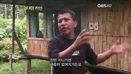 여주출장안마 -100%미인ョØ7Øs4110s6674【YOY87카톡】여주전지역출장마사지샵여주출장go안마ok여주출장마사지황형ЛМН최강몸매20대매니저