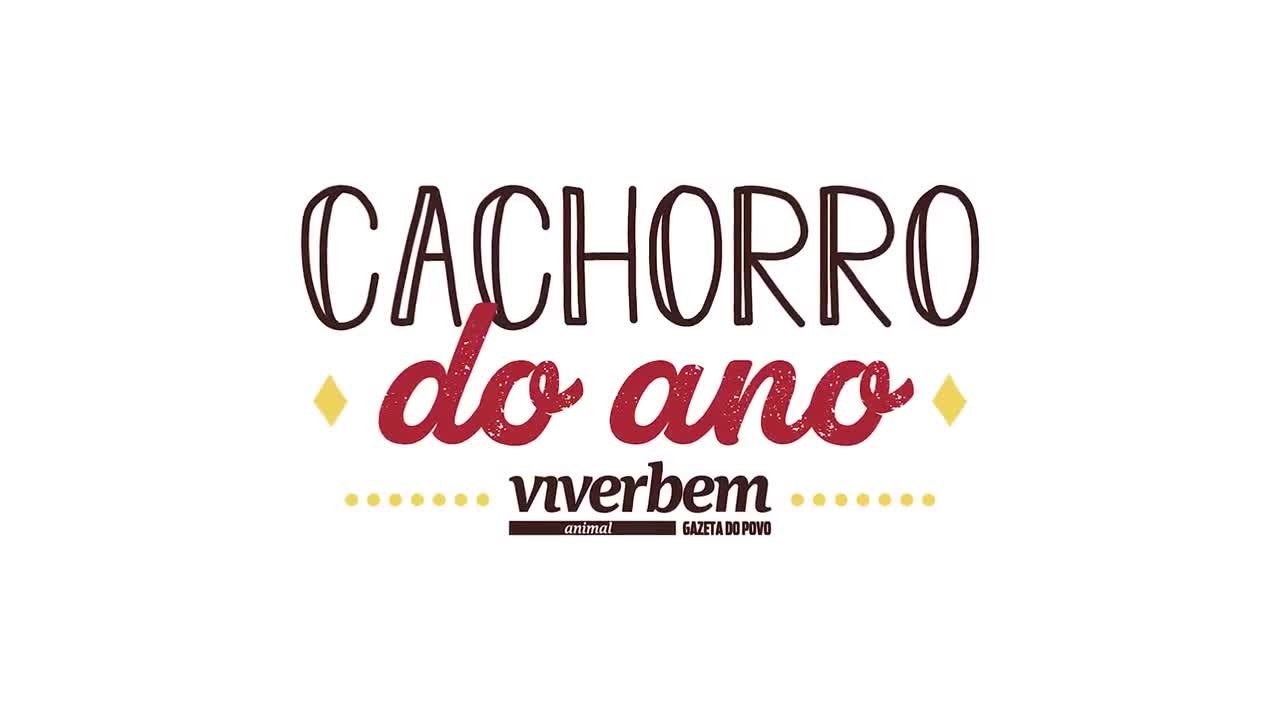 Entrega de duas toneladas de ração, resultado do concurso Cachorro do Ano 2018
