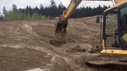 Heart-Stopping Rescue Of Baby Deer Stuck In Massive Mud Pit