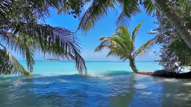 sonidos relajantes del mar - sonidos de la naturaleza - SONIDOS PARA ESTUDIAR