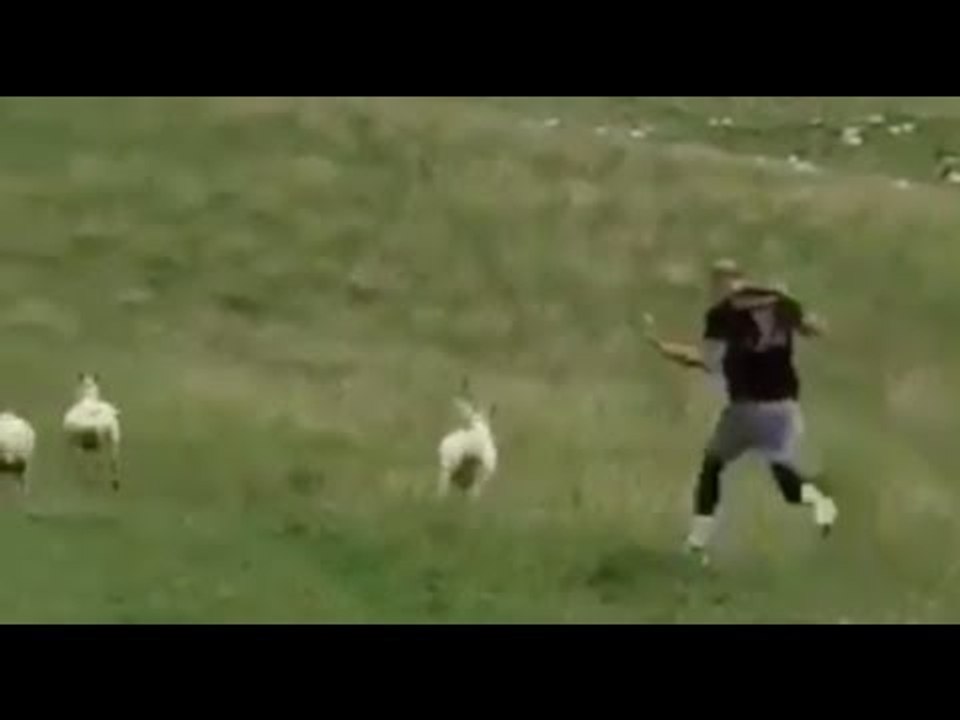 ABSOLUTELY MENTAL! - HEAVYWEIGHT TOM LITTLE **CRAZY SHEEP CHASING** TRAINING (w/ BILLY JOE SAUNDERS)