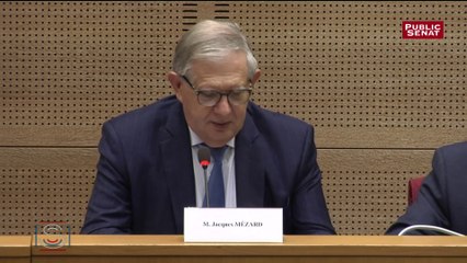 Jacques Mézard bientôt Sage au Conseil constitutionnel