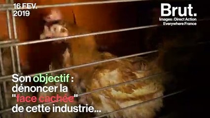 Stomy Bugsy s'infiltre dans un élevage de poules en batterie