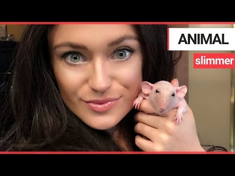An animal lover shares her home with 90 pets | SWNS TV