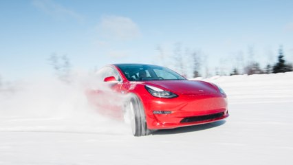 How Does the Tesla Model 3 Performance Edition Do as a Rally Car?
