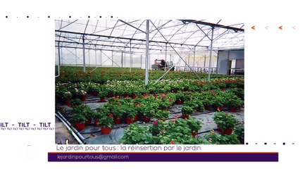 TILT - 21/02/2019 Partie 3 - Le jardin pour tous : la réinsertion par le jardin