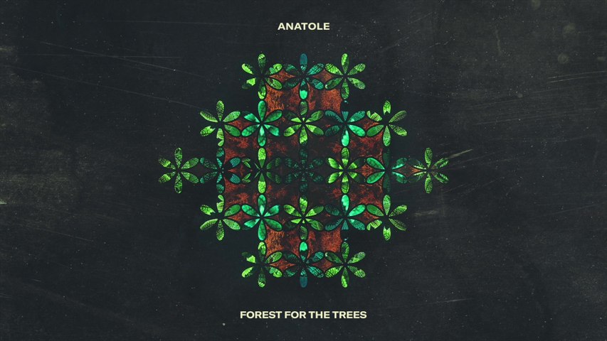 Anatole - Forest For The Trees