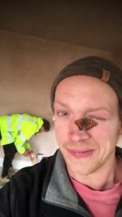 Ce papillon ne veut pas partir du nez de cet homme !