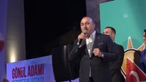 Çavuşoğlu: 