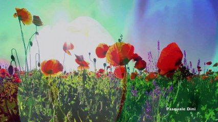 Dee Yan-Key - Goddess of Flowers