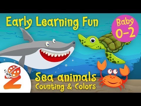 Early Learning Fun #5 Sea Animals 2 | Counting & Colors