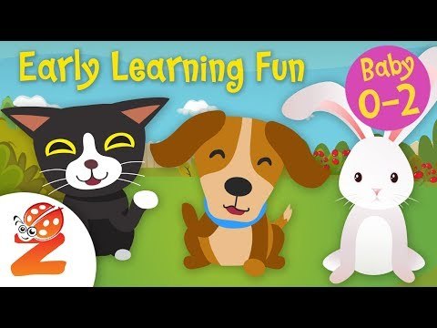 Early Learning Fun #6 | Pet Animals Counting & Colors | Educational
