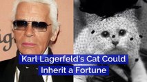 Karl Lagerfeld's Cat Could Inherit a Fortune