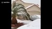Surprise snow strikes Las Vegas for first time in years