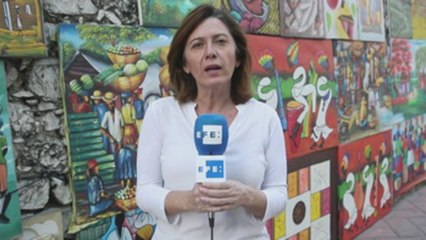 Informe a cámara: Haití cumple dos semanas de tensión política