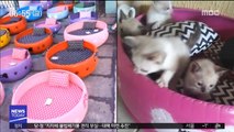 [투데이 영상] '폐타이어'로 반려동물 위한 특별한 침대