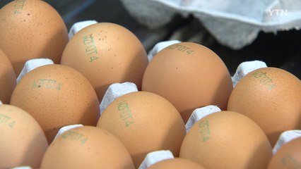 내일부터 달걀 산란일자 표시...날짜 확인하고 구입하세요 / YTN