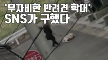 [자막뉴스] ‘무자비한 반려견 학대'...갑자기 돌변한 주인 / YTN