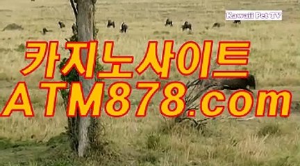 바카라게임다운로드 ≪ｔｔｓ３３２、coM≫ 인터넷카지노