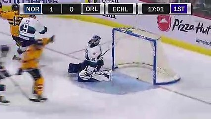 ECHL Norfolk Admirals 2 at Orlando Solar Bears 1