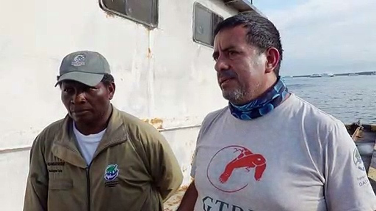 Hallan en Ecuador tortuga gigante que se consideraba extinta
