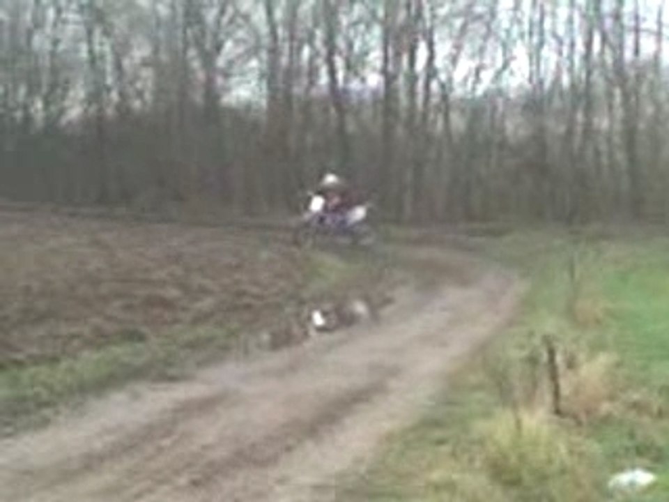 yamaha wr250f