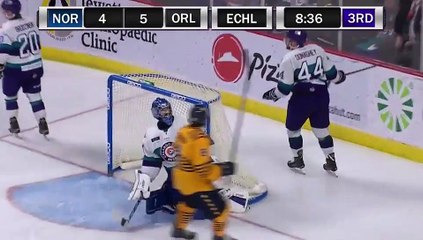 ECHL Norfolk Admirals 6 at Orlando Solar Bears 6