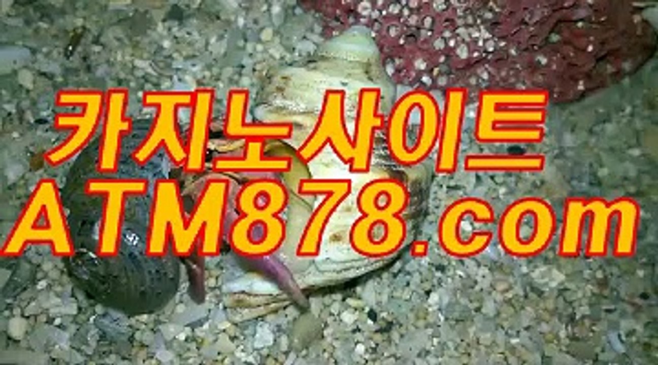 아시안바카라 ┣─▶t t s 3 3 2。COM◀─┫ 페가수스카지노